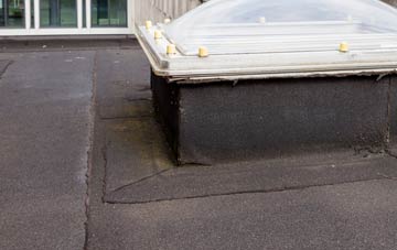 disadvantages of Freuchie flat roofs