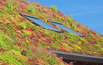 Freuchie living roof systems