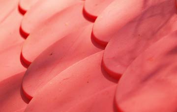 Freuchie plastic roof costs