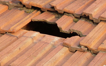 roof repair Freuchie, Fife