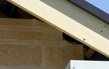soffit repair Freuchie