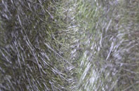 Freuchie fibreglass roof work